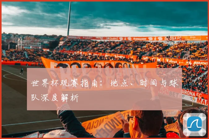 世界杯观赛指南:地点、时间与球队深度解析