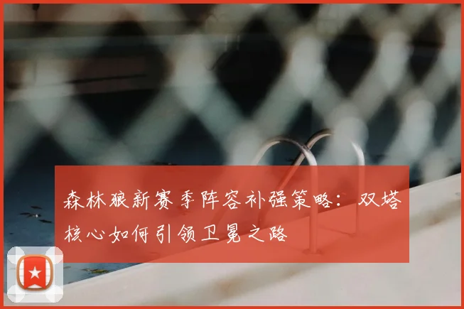 森林狼新赛季阵容补强策略:双塔核心如何引领卫冕之路